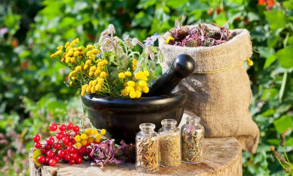 Ierburi de la Helmints