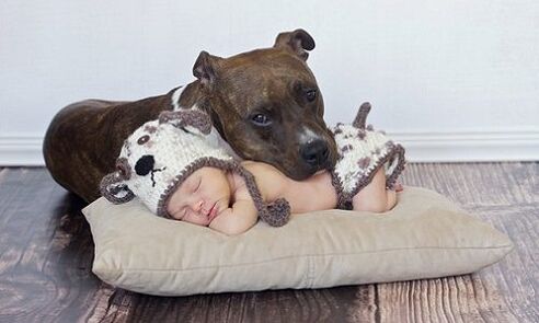 Un copil cu un câine