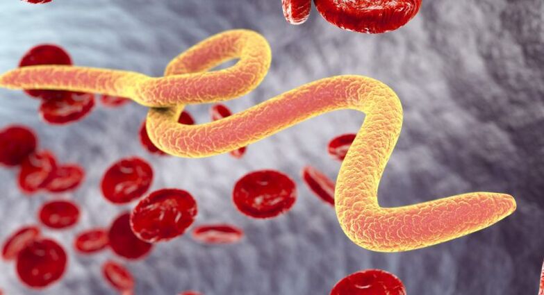 Organisme parazitare